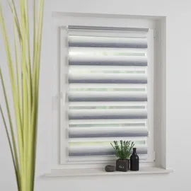 LIEDECO Doppelrollo Farbverlauf 60 x 210 cm beige