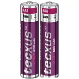 2 x AAA NiMH 600mAh Akkus für Schnurlose Telefone Siemens Gigaset A415 C430 S810 E500 E500A A580 A585 A400 A415 Duo/Trio