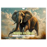 Calvendo Wildlife im Fokus - Begegnungen auf Augenhöhe (Wandkalender