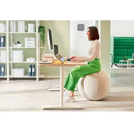 Leitz Ergo Active Sitzball hellgrau 65,0 cm