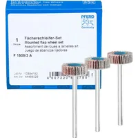 Pferd tools PFERD Fächerschleifer-Set Korund Ø15x5mm Schaft-Ø3mm A 80,120