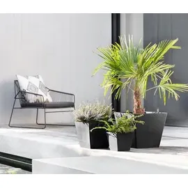 ecopot Rotterdam 20 x 20 x 17,5 cm Dunkelgrau