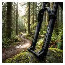 RockShox Domain B1 29 Zoll 0 mm Schwarz