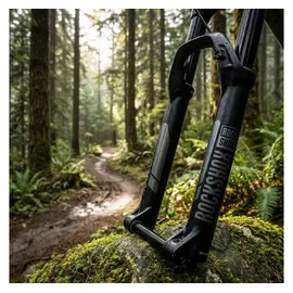 RockShox Domain B1 29 Zoll 0 mm Schwarz