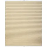 Lichtblick Plissee Klemmfix, ohne Bohren, verspannt, (Creme, 45x130 cm