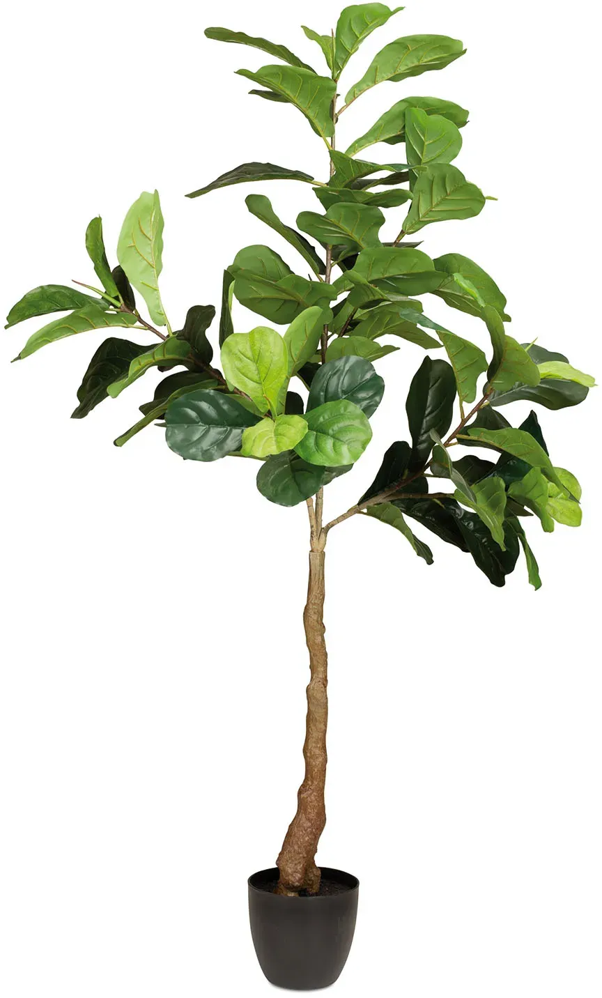 Künstlicher Geigenfeigenbaum - Ficus Lyrata 152 cm