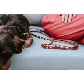 Hunter Verstellbare Führleine Canadian Up