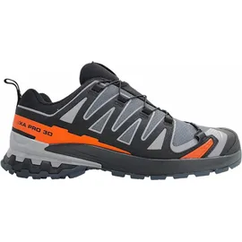 Salomon XA Pro 3D V9 GTX Herren Turbulence/Black/Burnt Ochre 46 2/3