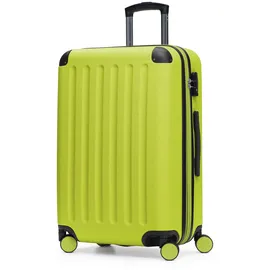 HAUPTSTADTKOFFER Spree 4-Rollen 65 cm / 61-74 l farn