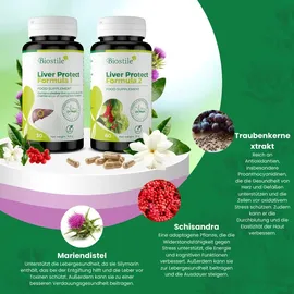 Biostile Liver Protect Mariendistel Kapseln 90 St