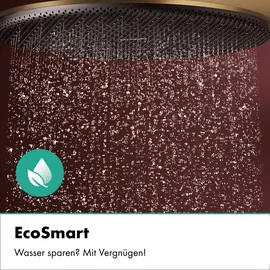 Hansgrohe Raindance Alive S PURO Duschsystem 300 1jet EcoSmart 24593140
