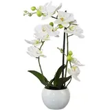 creativ-green Kunstblume Orchidee, Phalaenopsis, 3D-print, weiß, im Keramik-Topf, Höhe 42 cm