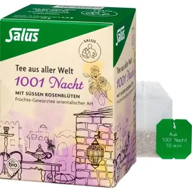 SALUS Kräuter-Gewürztee aus 1001 Nacht 15x2 g
