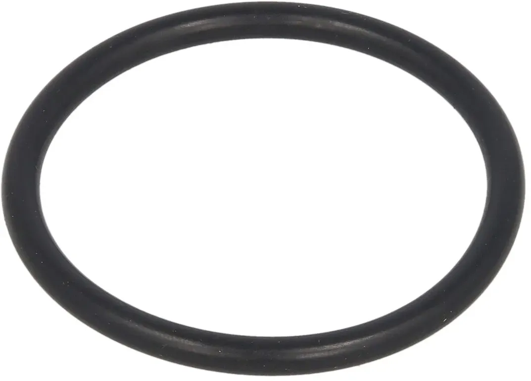 Anillo retén LEMA 106829