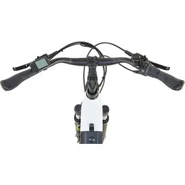 Prophete Geniesser 2.0 28 Zoll RH 48 cm weiß kreide