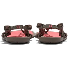 Xero Shoes Aqua Cloud Damen Morel/Sunset Coral 41,5