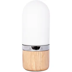 Tischlampe GANRO