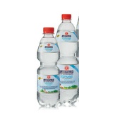 6x 1,00L Labertaler Stephanie Brunnen Medium Mineralwasser PET Einweg Flasche