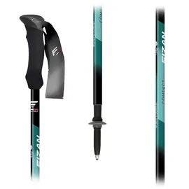 fizan Trekkingstöcke Compact 3 132 cm Water Green