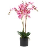 Leaf Design UK Realistische künstliche Orchidee im Topf