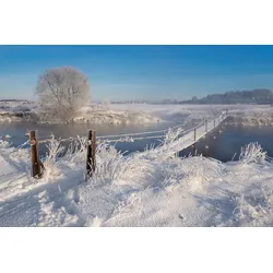 Fototapete PAPERMOON "Schneelandschaft", bunt, B:2,50m L:1,86m, Vlies, Tapeten