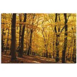 Artland Wandbild »Spaziergang im Herbstwald«, Wald, (1 St.), als Alubild, Outdoorbild, Leinwandbild, Poster in verschied. Größen Artland Farbe Bild(er): goldfarben