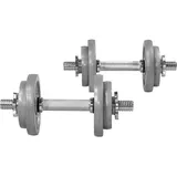 Kurzhantelset Gusseisen 20 kg grau 20kg