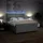 vidaXL Boxspringbett 180 x 200 cm Hellgrau