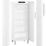 Liebherr FRFvg 6501 Gewerbekühlschrank