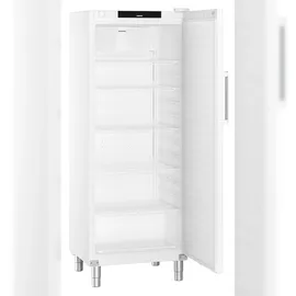 Liebherr FRFvg 6501 Gewerbekühlschrank