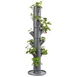 Gusta Garden Sissi Strawberry 27 x 27 x 113 cm Anthrazit