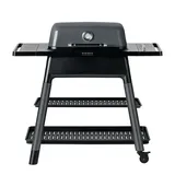 everdure Force Gasgrill 2-Brenner grau
