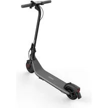 Segway Ninebot Kickscooter E2 D schwarz