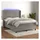 vidaXL Boxspringbett mit Matratze & LED Hellgrau 140x200 cm Samt