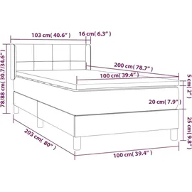 vidaXL Boxspringbett 100 x 200 cm Dunkelgrau
