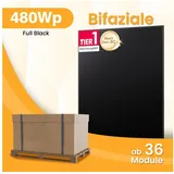 POWERNESS Balkonkraftwerk SunPro 480Wp BC Full Black Bifaziale Solarmodule, (Photovoltaik Glas-Glas, 36-St), Stecksystem: EVO2A, MC4-kompatibel