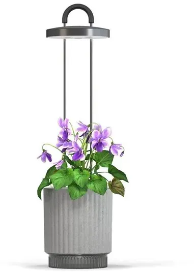 HydroVase Indoor Plant Care Kit with LED Light Self-Watering and Automatic Timer - Gray