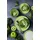 SELTMANN WEIDEN Speiseteller Liberty Pure Colors ø 27 cm 6er Set - Lime Green