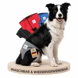 NATURE PET Premium Läufigkeitshose für Hündinnen – Hochwertige & Bequeme Hundewindeln für Hündinnen & Rüden – Waschbare Inkontinenz-Hundewindel ohne Einfädeln der Rute – M/Grau