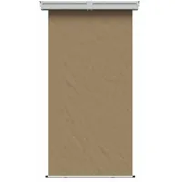 vidaXL Seitenmarkise 100 x 300 cm Beige Eisen 2 St.