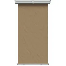 vidaXL Seitenmarkise 100 x 300 cm Beige Eisen 2 St.