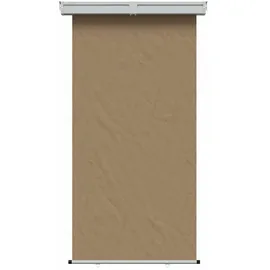 vidaXL Seitenmarkise 100 x 300 cm Beige Eisen 2 St.