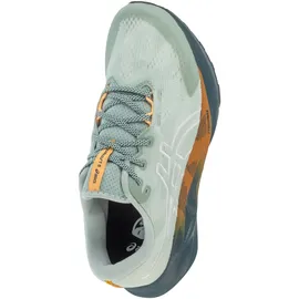 Asics Novablast 5 TR Herren Nature Bathing/Lichen Rock 47