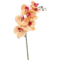 artplants.de Künstliche Blume Phalaenopsis Orchideen Zweig NEITH, orange - pink, 85cm - Textilblume Orchidee