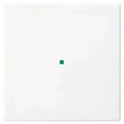 Busch-Jaeger 6230-10-914 Wippe 1-fach, ohne Bedruckung Busch-balance® SI 2CKA006220A0355 623010914