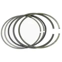 WOSSNER Segment set WÖSSNER 4T Ø96.00mm - 0.95x1.5 mm