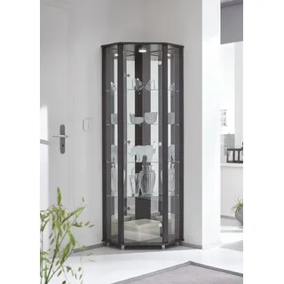 fif möbel Eckvitrine TRIO Höhe ca. 172 cm, ink. Beleuchtung Eckvitrine/Glasvitrine 1x Glastür, perfekt für Sammler, Sammlervitrine schwarz