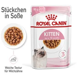 ROYAL CANIN Kitten in Soße 12x85 g