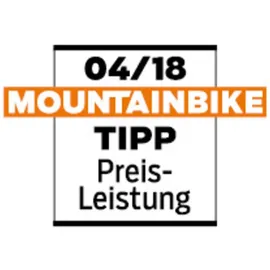 Bell 4Forty MIPS 55-59 cm cliffhanger matte/gloss slate/orange 2022