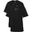 Small Signature Schwarz S